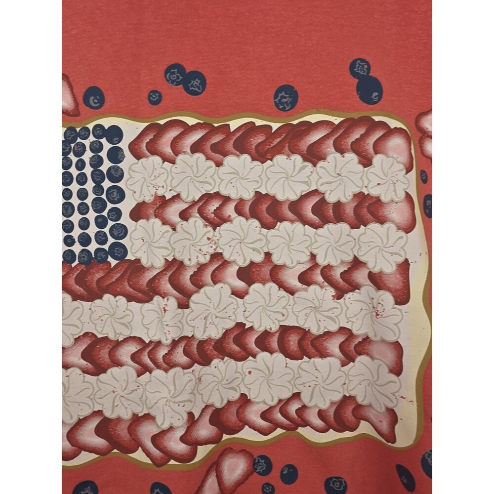Living Fully Co. by Mallory Ervin Patriotic Flag Sweatshirt Size Medium - Picture 4 of 14